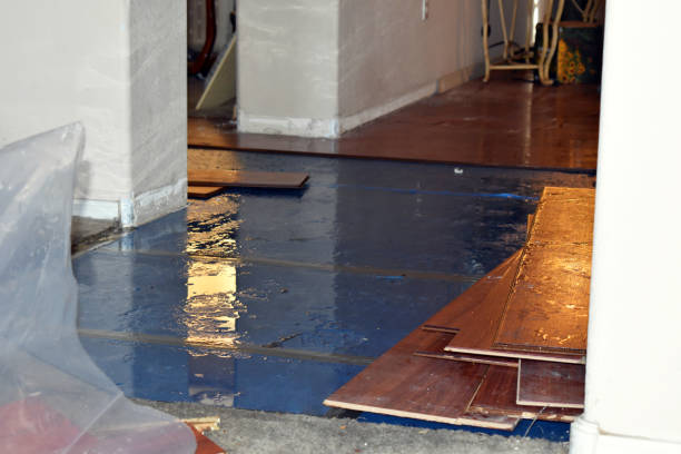 Professional Burst Pipe Cleanup technician working in Montchanin, DE